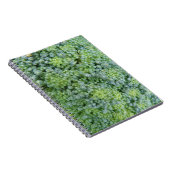 Carnet Macro Broccoli (Côté Droit)