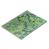 Carnet Macro Broccoli (Côté gauche)