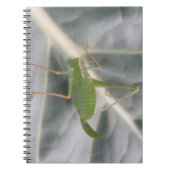 Carnet Macro cricket vert (Devant)