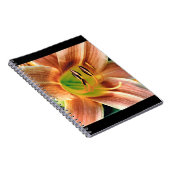 Carnet Macro Daylily (Côté Droit)