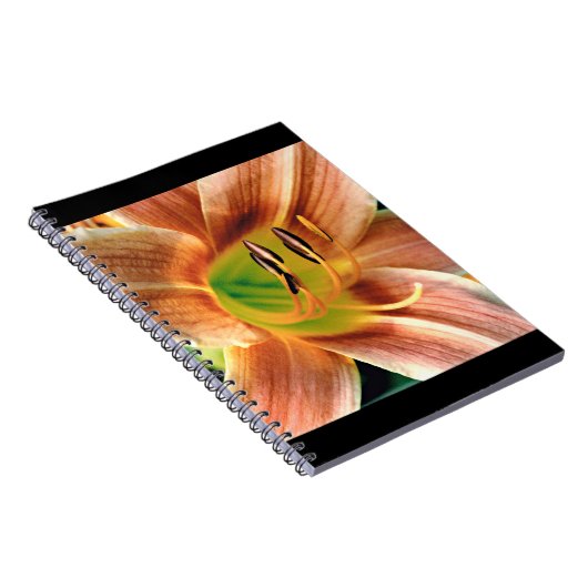 Carnet Macro Daylily (Côté Droit)