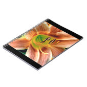 Carnet Macro Daylily (Côté gauche)