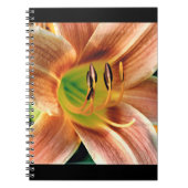 Carnet Macro Daylily (Devant)