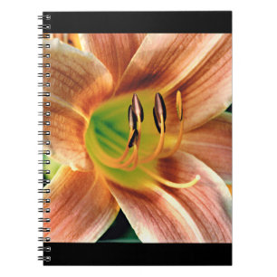 Carnet Macro Daylily