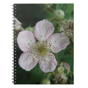 Carnet Macro Fleur Blackberry