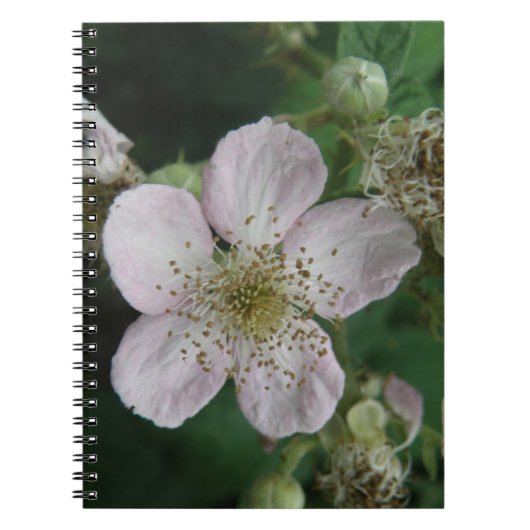 Carnet Macro Fleur Blackberry (Devant)