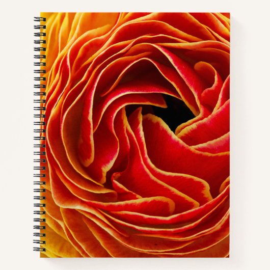 Carnet Macro Fleur | Champs de Fleurs Carlsbad, CA (Devant)