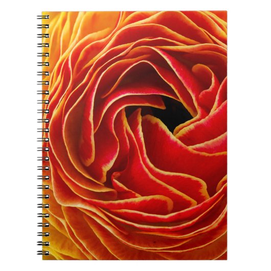 Carnet Macro Fleur | Champs de Fleurs Carlsbad, CA (Devant)