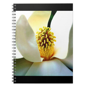 Carnet Macro Magnolia Bloom