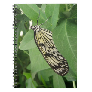 Carnet Macro Papier papillon