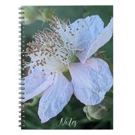 Carnet Macro photo de fleur de mûre (Devant)