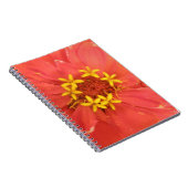 Carnet Macro Red Zinnia (Côté Droit)