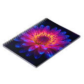 Carnet Macro Stellar Burst (Côté gauche)