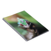 Carnet Madagascar, bar rouge Panther Chameleon (Côté Droit)