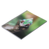 Carnet Madagascar, bar rouge Panther Chameleon (Côté gauche)