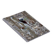 Carnet Madagascar, réserve d'Ankarafantsika ; Ampijoroa ; (Côté Droit)