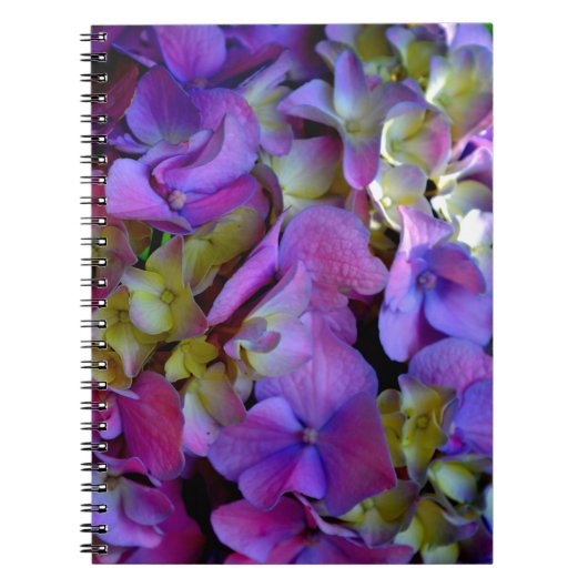Carnet Magenta Purple bleu jaune Hydrangeas fleurs (Devant)