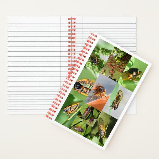 Carnet Magicicada Canada pour 2024 (À l'intérieur)