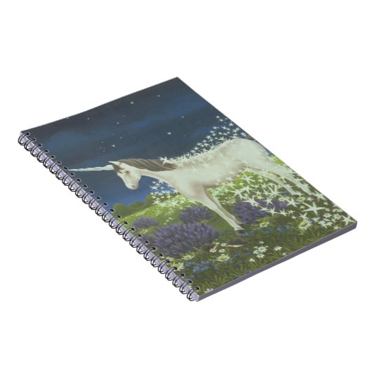 Carnet Magie (Côté Droit)