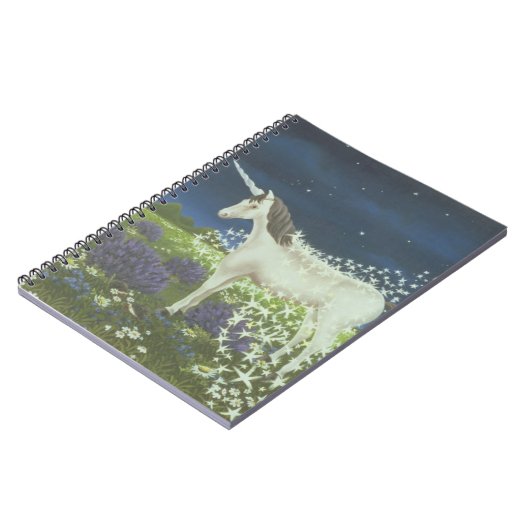 Carnet Magie (Côté gauche)