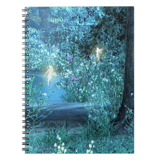 Carnet magique de fées de nuit (Devant)