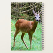 Carnet Magnifique Cerf Brocard Paysage Rural Animal (Verso)
