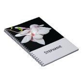 Carnet Magnolia blanc (Côté Droit)