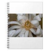 Carnet Magnolia étoilé (Devant)