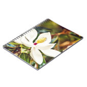 Carnet Magnolia magnifique du Mississippi (Côté gauche)