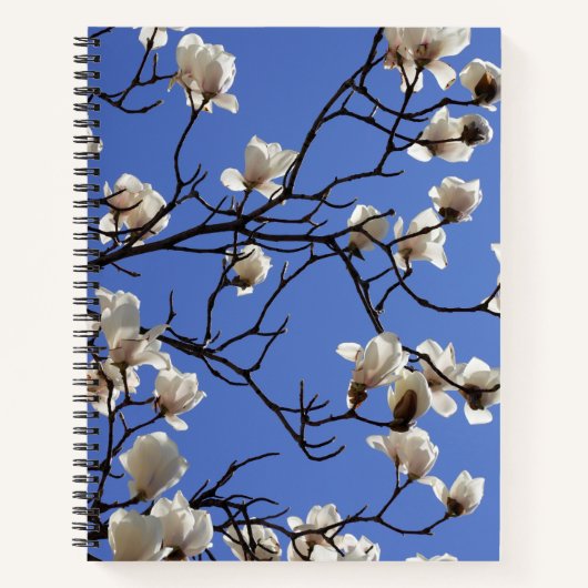 Carnet Magnolias florissants (Devant)