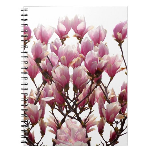 Carnet Magnolias roses en fleurs Fleur de printemps (Devant)