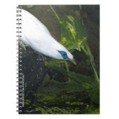Carnet Mainate de Bali (Devant)
