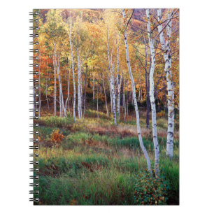 Carnet Maine, Parc national d'Acadia, Automne