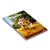 Carnet Maïs de Chipmunk (Côté Droit)