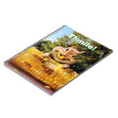 Carnet Maïs de Chipmunk (Côté gauche)