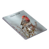 Carnet Maison Finch en Neige - Photo originale (Côté Droit)