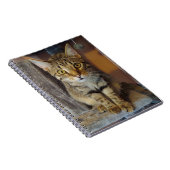 Carnet Maison Tiger (Côté Droit)