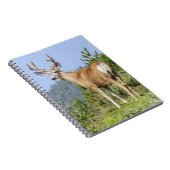 Carnet Majestic Deer (Côté Droit)