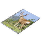 Carnet Majestic Deer (Côté gauche)
