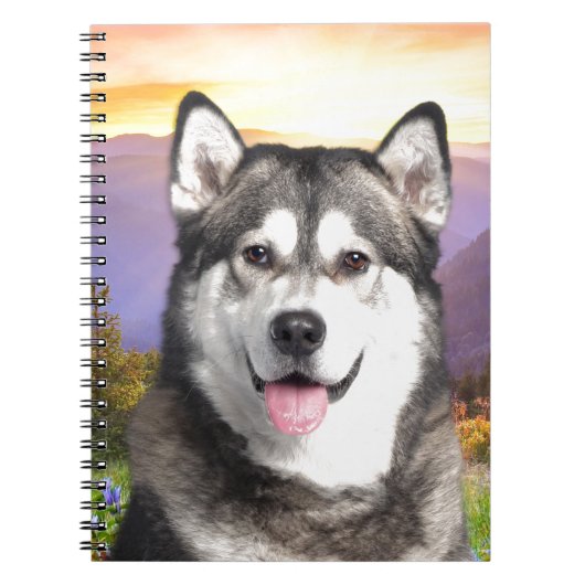 Carnet Malamute d'Alaska (Devant)