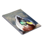 Carnet Mallard Duck (Côté Droit)