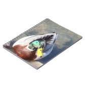 Carnet Mallard Duck (Côté gauche)