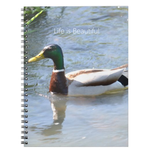 Carnet Mallard Duck (my photography) (Devant)