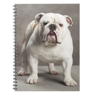 Carnet Maman Chien Mignon Cadeau Bouledogue Anglais