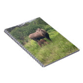 Carnet Maman et bébé orignal (Côté Droit)