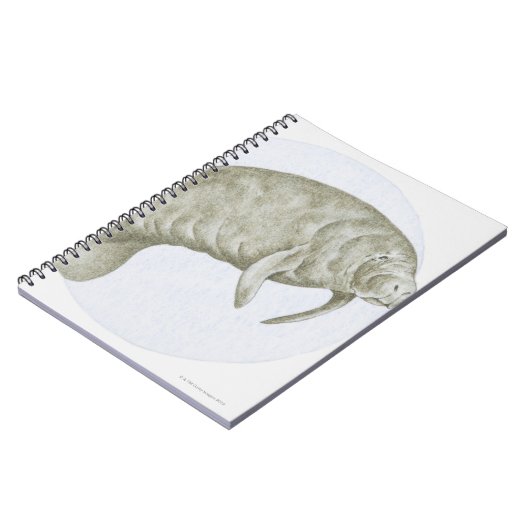 Carnet Manatee (Côté gauche)