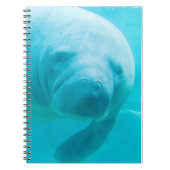 Carnet Manatee (Devant)