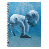Carnet Manatees (Devant)