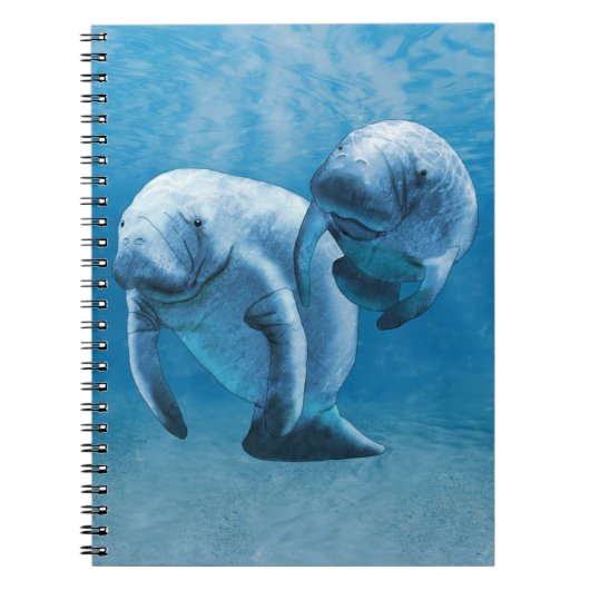Carnet Manatees (Devant)