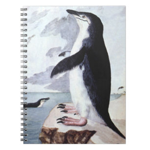 Carnet Manchot à jugulaire, Oiseaux d'Antarctique d'autre